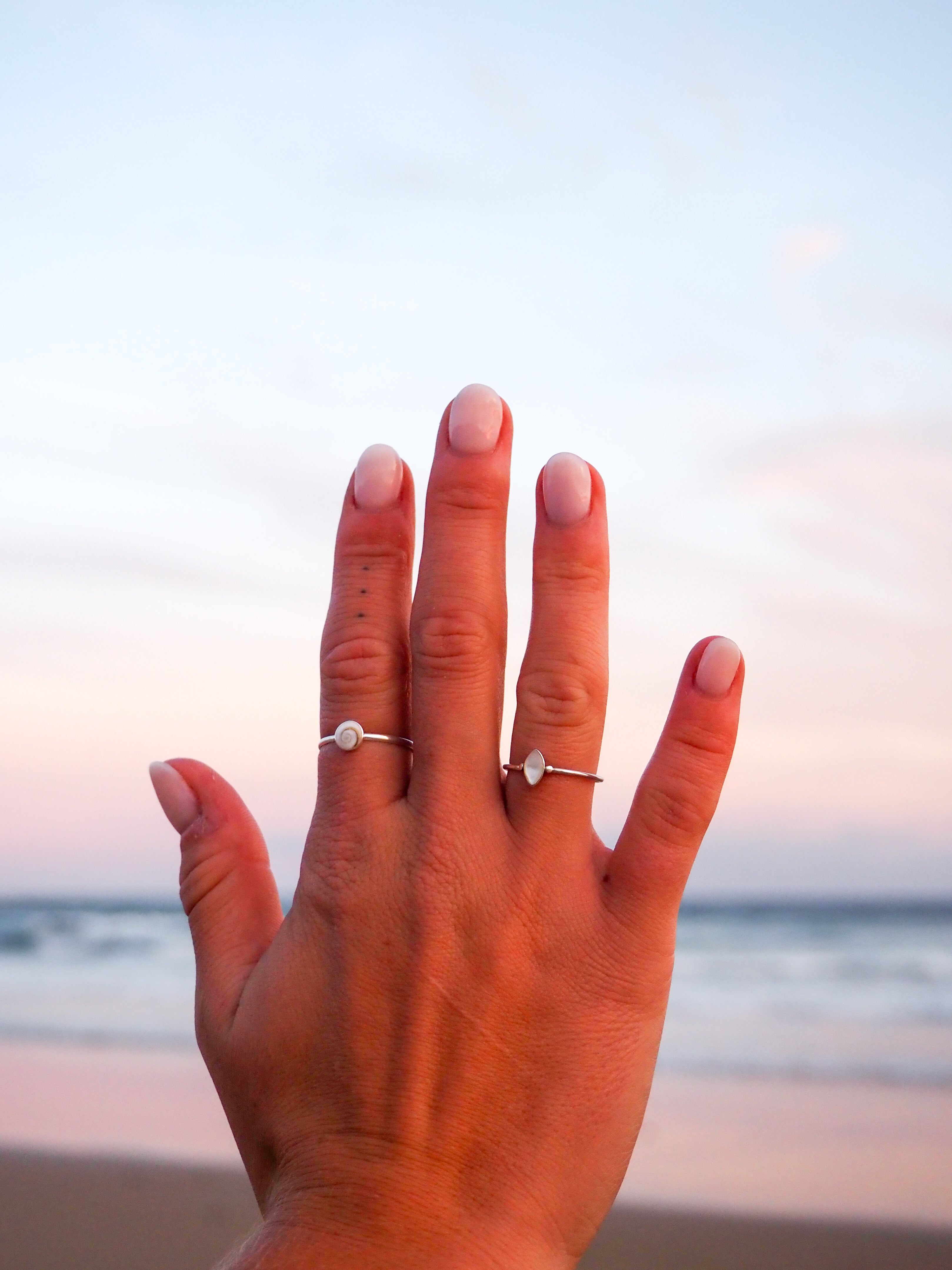 Shell Ring